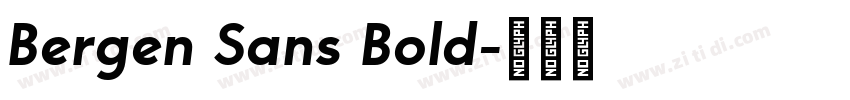 Bergen Sans Bold字体转换